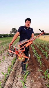 L'agriculture moderne | LMD GORE