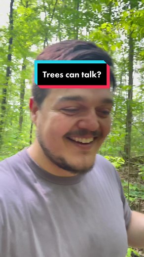 Trees talk to each other! #fyp #science #sci #tree #learn #facts #scitok #learning