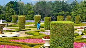 Update Harga Tiket Masuk Taman Bunga Nusantara per Juli 2025, Khusus Warga Cianjur Diskon 50 Persen - Tribun Travel