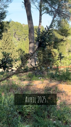 Avant / après Tempête Nils 2026