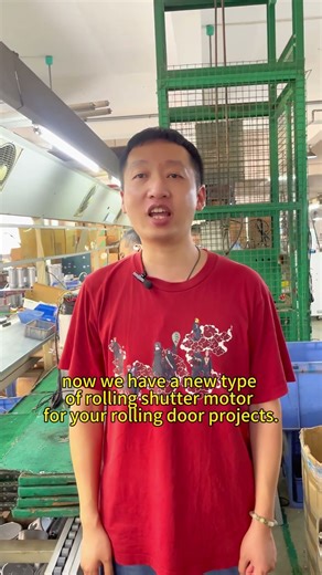 What capacities of roller shutter motors do you offer for roller door manufacturers in Indonesia?