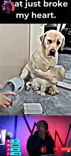 And they say animals have no heart or feelings 🥺💔 #viral