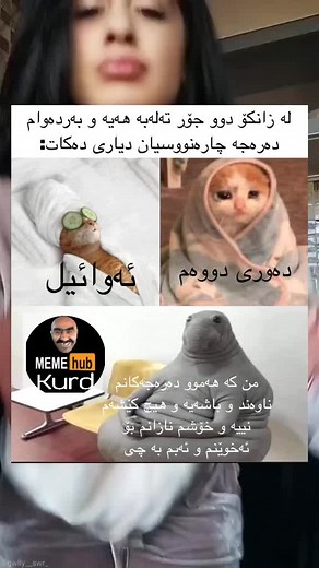‏#memehub #memehubkurd