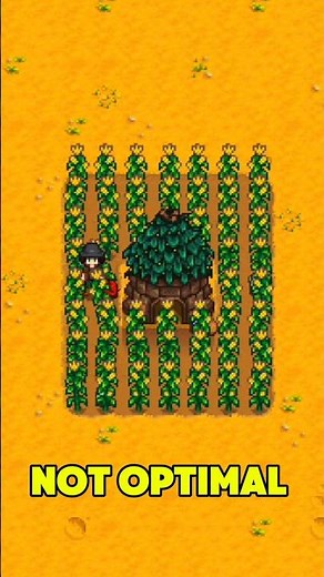 How to Place Junimo Hut Efficiently in Stardew Valley #stardewvalley #games #shorts