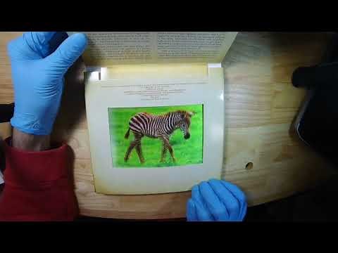 Using lenticular lens for animations (photicular book)