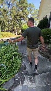 Pond Maintenance with Joe