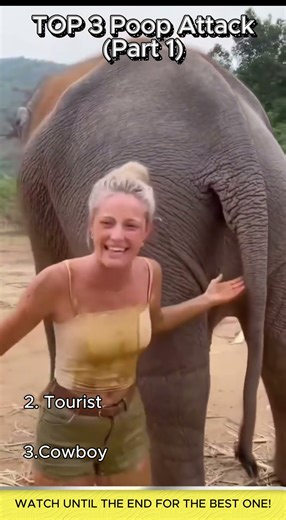 Top 3 Poop Attack 💩😁(Part 1)