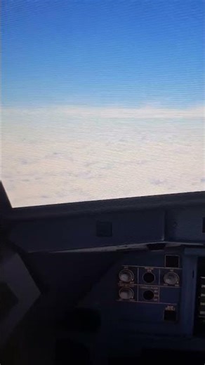 Smooth A321 Cruise ✈️ Career Flight