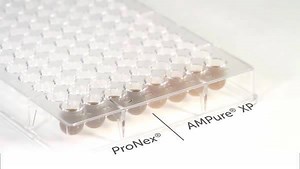 2K views · 19 reactions | Want better size selection and cleanup for your NGS and PCR samples? The new ProNex® Size-Selective DNA Purification System is easier to pipette, allowing you to recover more DNA, increase sizing accuracy and improve reproducibility. See the difference here. | Promega Corporation | Facebook