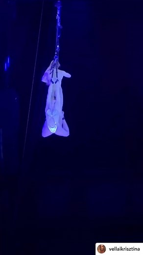 Beautiful aerial duet from @vellaikrisztina and @bettiaerial! 💕 #aerialartsassoc | Aerial Arts Association