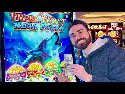 This NEW Timberwolf Mega Power Slot is WILD!
