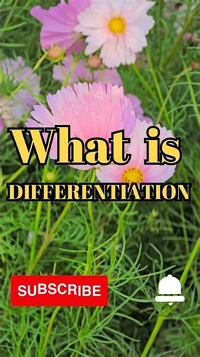 What is differentiation #shorts #biology #facts