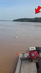 106K views · 819 reactions | Robotic Fishing!  #FacebookPage #viralreelsfb #shorts | Facts 2Growth | Facebook