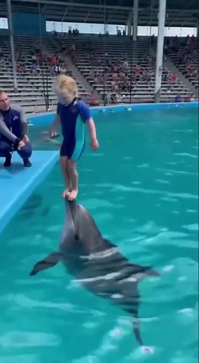 You Won't Believe This Dolphin Trick!