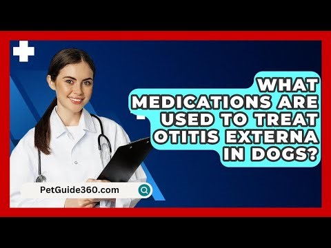 What Medications Are Used To Treat Otitis Externa In Dogs? - PetGuide360.com