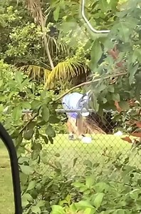 7K views · 71 reactions | And that’s how you get a couple of balls to...