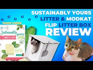 Sustainably Yours Cat Litter & Modkat Flip Litter Box Review