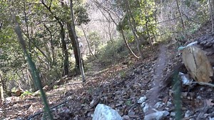 Gole di San Venanzio, Raiano, Italy A man hikes on a wooded path in a canyon alongside an ancient Roman aqueduct.