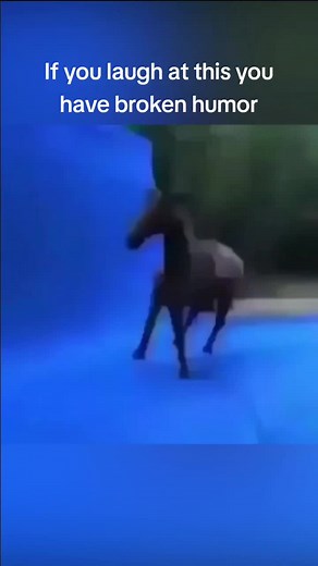 Understanding Broken Humor Memes: Are You One of Them?