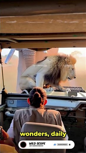 Lion vs Elephant Clash | Unthinkable Showdown 🦁🐘⚡ #Shorts #Viral #foryou