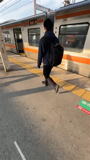 【米原駅】車両後方に行くと大体空いてる…青春18きっぷシーズンならでは乗換シーン#jr#青春18きっぷ#米原
