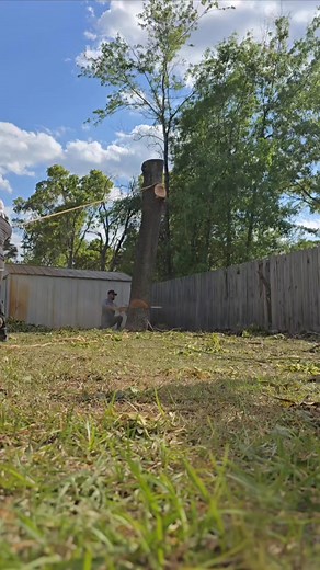 #treeservice | Arbor Masters