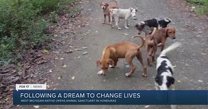 West Michigan native helping animals survive and thrive in Honduras