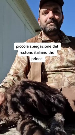 Italian Hunting with 'The Prince' Restone Cane - Exploring Nature and Wildlife in Italy