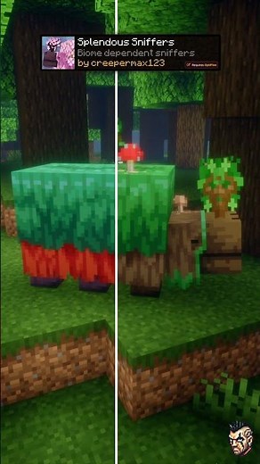 The BEST Minecraft Texture Packs (2025) 17🔥