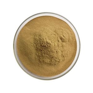 [Hot Item] Agaricus Bisporus Extract 30% Polysaccharides for Functionl Food
