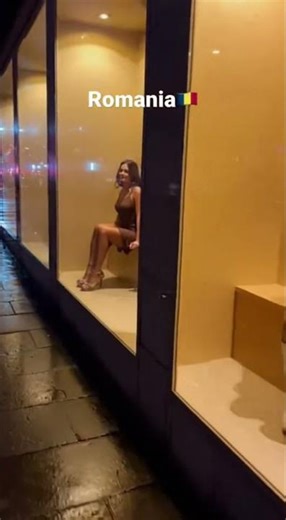 Romanian Window Wonders