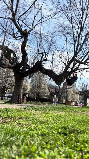 Ohio Tree Climb