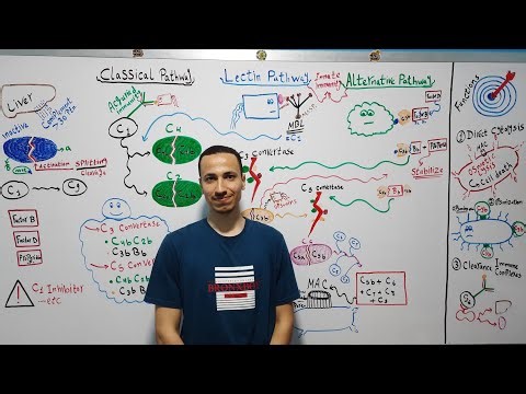 Complement System | Dr. Mohamed El Kot