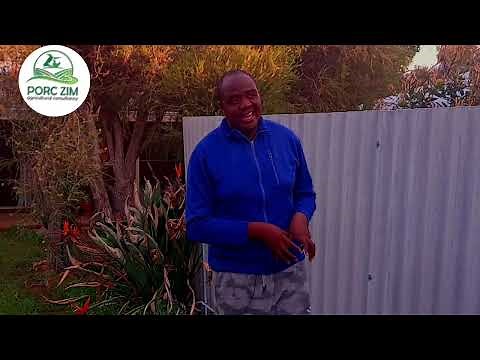 The Farrowing Process (part 1): Introduction