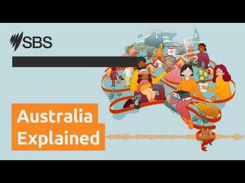 How to recover from bushfires | Australia Explained