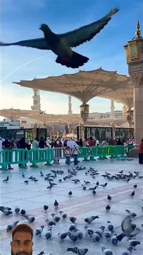 Subhanallah 🥰🥰🤲🤲 #shorts #youtubeshorts #trending #viral #foryou
