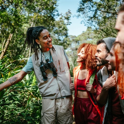 The Tour (Platform) Guide: Comparing TripAdvisor, Airbnb, GetYourGuide, & More