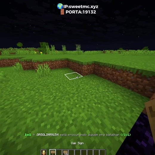 Explorando a Necessidade no Mundo do Minecraft