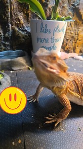 I just love this little guy | Tiffany Smith