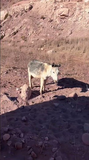 Hidden Gems of the Atacama Desert | Río Grande & Machuca, Chile