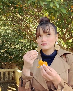 6.4M views · 50K reactions | Haha! pasensya na pero di ko napigilan.... na- excite talaga ako sobra noong nakita ko lang na pakalat kalat lang sa paligid ang puno ng puno kiat-kiat sa #Fukuoka 藍 lol! 1st time ko nakakita nito ... at first time ko pumitas hihi  Favorite namin to ni Pangga na snack sa house 殺❤️ P.S. nag paalam ako bago kumuha  lol! | Yasmien Kurdi | Facebook