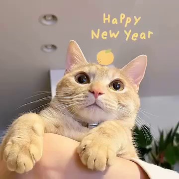 The Hidden Truth About mind-body connection Explained #Travel