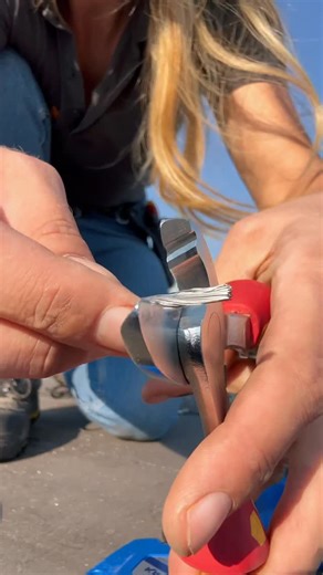 Solar Lilli on Instagram: "Big power. Micro tool ~ Precision crimping for electrical installations #electric #tools #electrician"