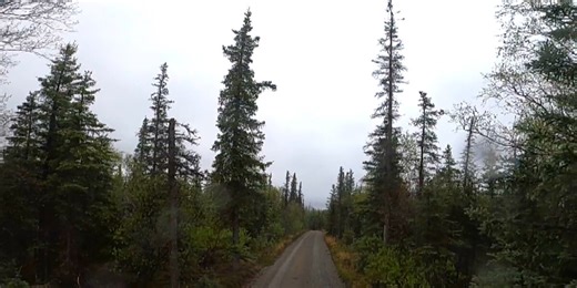 Roadtrippin’ 2025: Hitching a ride from Brooks Camp to the Valley of 10,000 Smokes