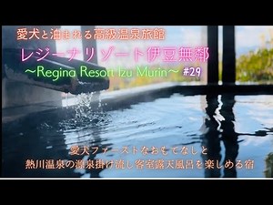【愛犬と旅行】レジーナリゾート伊豆無鄰〜Regina Resort Izu Murin熱川温泉の源泉掛け流し客室露天風呂を楽しめる宿