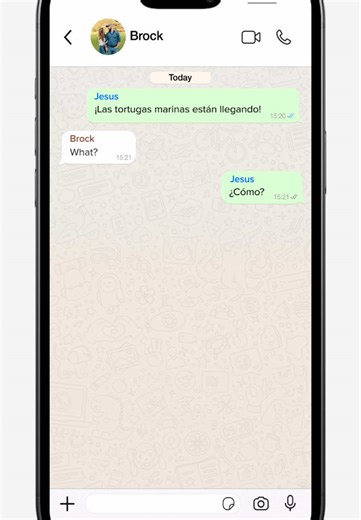 WhatsApp Chat Animation for Dynamic Video Content
