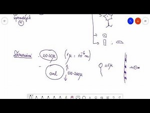 Nivele de organizare- Celula, clasa a XI-a