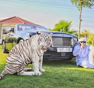 EXOTIC PETS OF DUBAI !! 🔥 | Dubaï