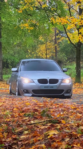 Showcasing a Silver BMW 5 Series Sedan