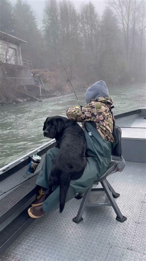 What we do during the off season! River fish with dog cuddles! #fishing #labrador